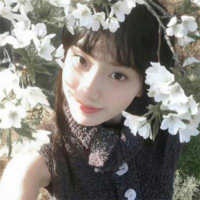 枕边诡影封面