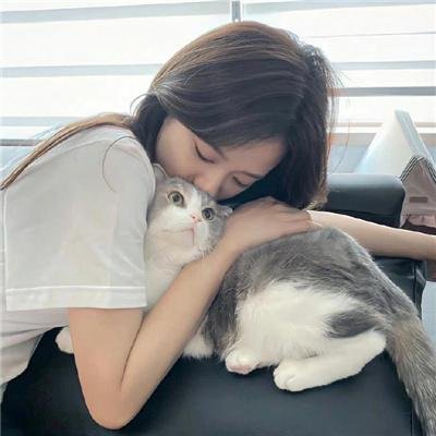 白日之下封面